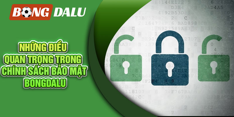 Những điều quan trọng trong chính sách bảo mật Bongdalu
