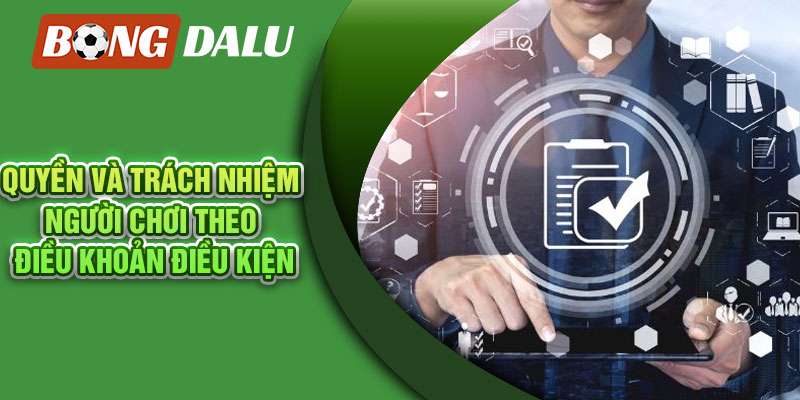 Quyền và trách nhiệm người chơi theo điều khoản điều kiện