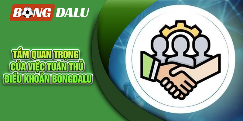 Tầm quan trọng của việc tuân thủ điều khoản Bongdalu