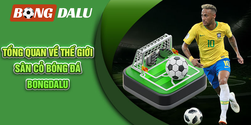 Tổng quan về thế giới sân cỏ bóng đá Bongdalu